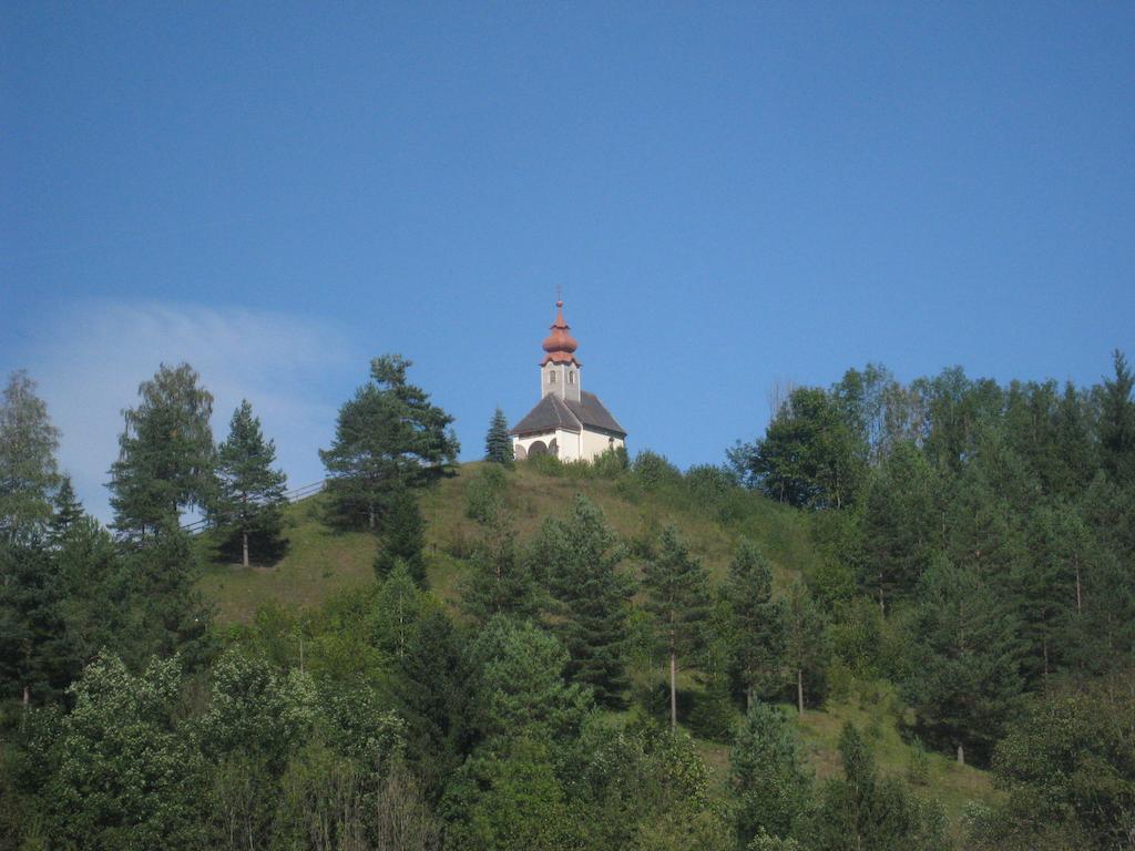 Gasthof Zum Niederhaus - Familie Perthold Sankt Aegyd am Neuwalde Kültér fotó