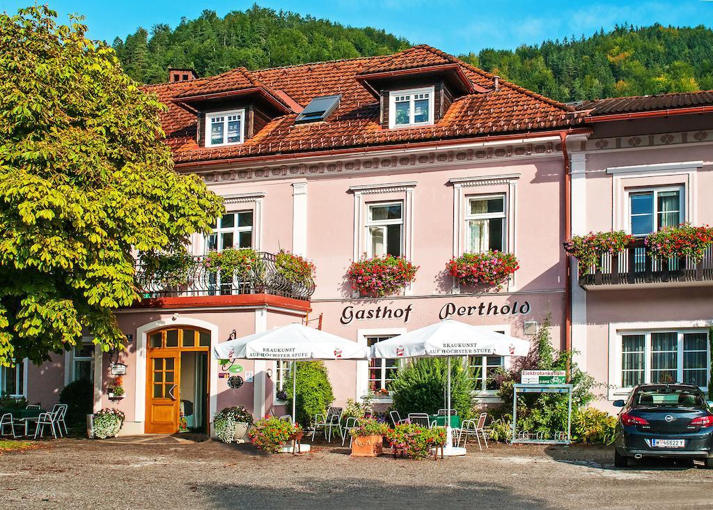 Gasthof Zum Niederhaus - Familie Perthold Sankt Aegyd am Neuwalde Kültér fotó