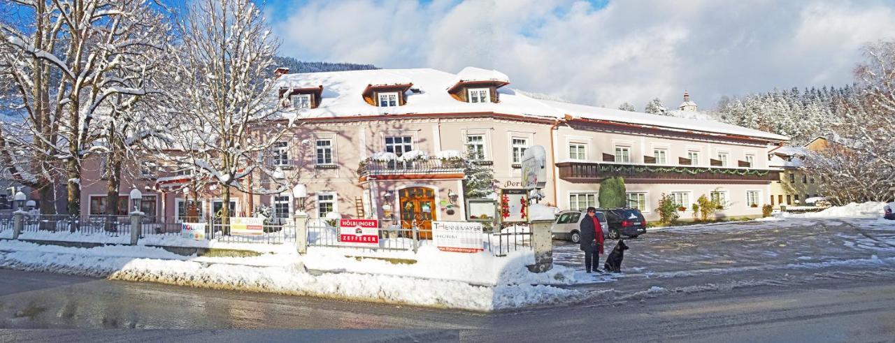 Gasthof Zum Niederhaus - Familie Perthold Sankt Aegyd am Neuwalde Kültér fotó