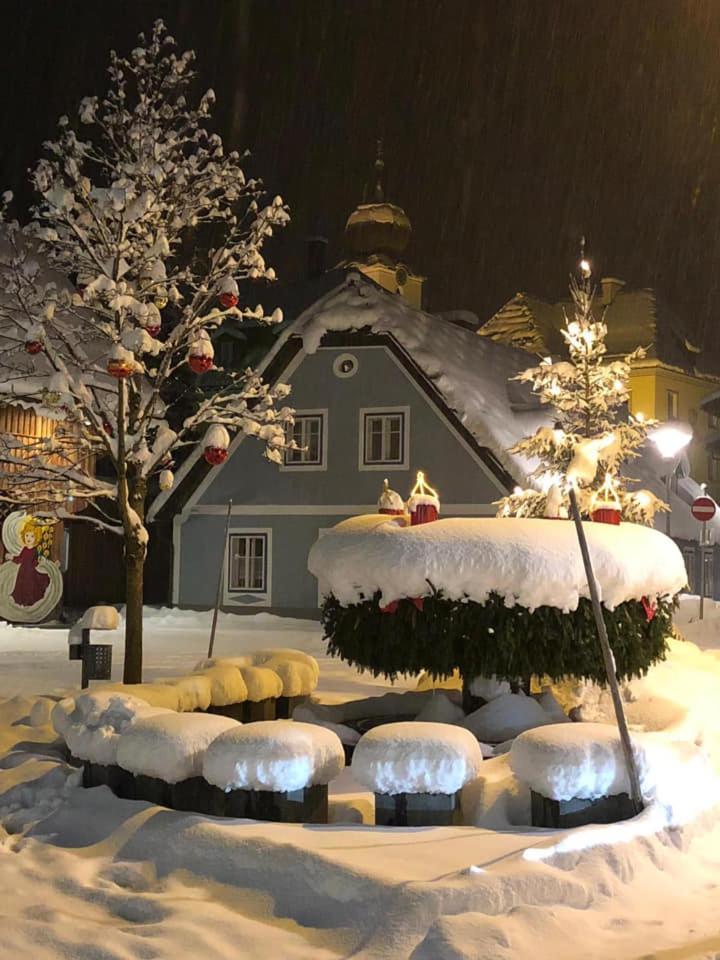 Gasthof Zum Niederhaus - Familie Perthold Sankt Aegyd am Neuwalde Kültér fotó