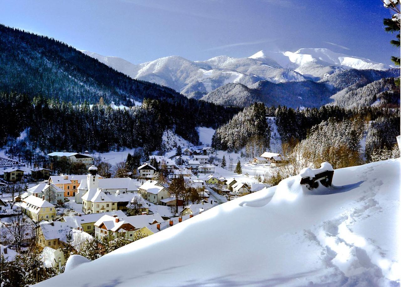 Gasthof Zum Niederhaus - Familie Perthold Sankt Aegyd am Neuwalde Kültér fotó